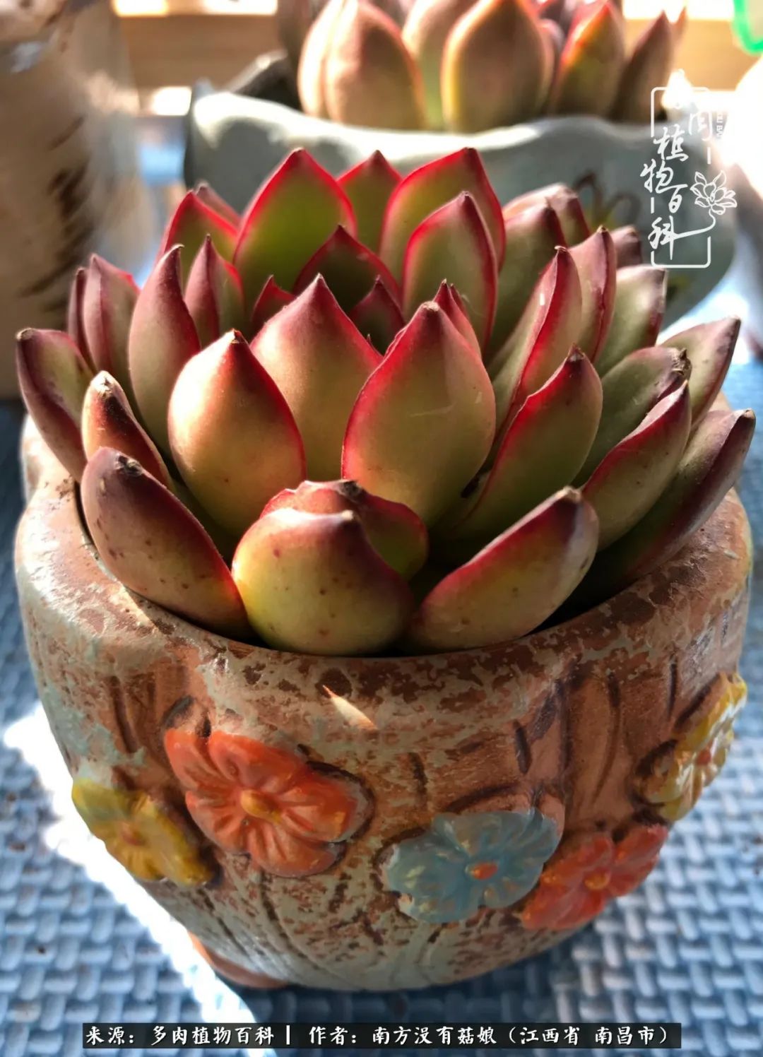 既见云胡不喜,既见君子云胡不喜毛笔楷书