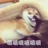 适合零基础英语的学习网站,6个相见恨晚的英语学习网站