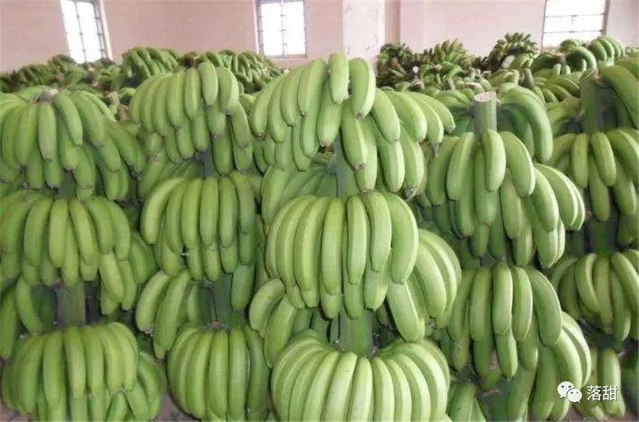 杂谈是指什么,杂谈的意思