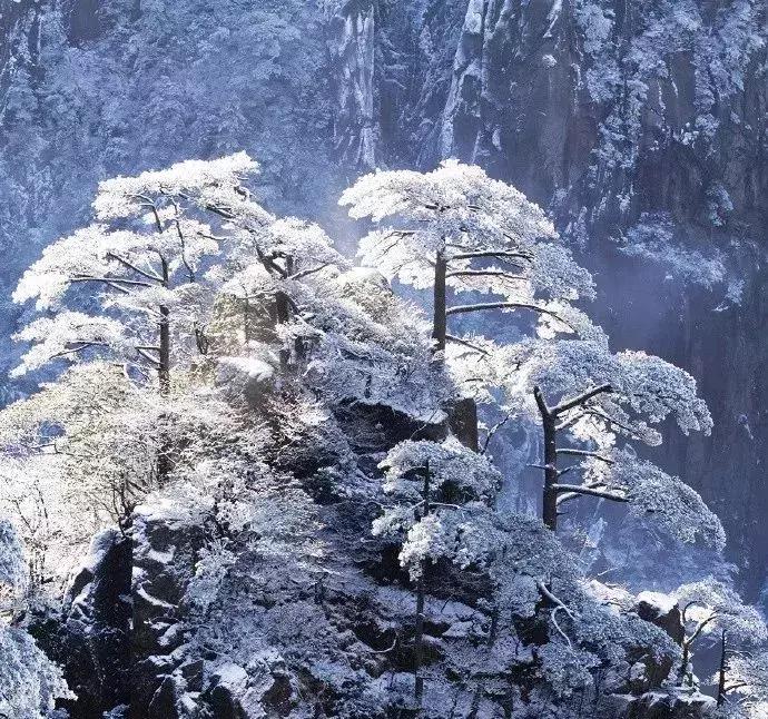 雾凇之美宛若仙境,连云港花果山雾凇美得像仙境