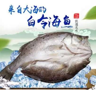 最鲜美的清蒸海鱼,清蒸鲜甜海鱼