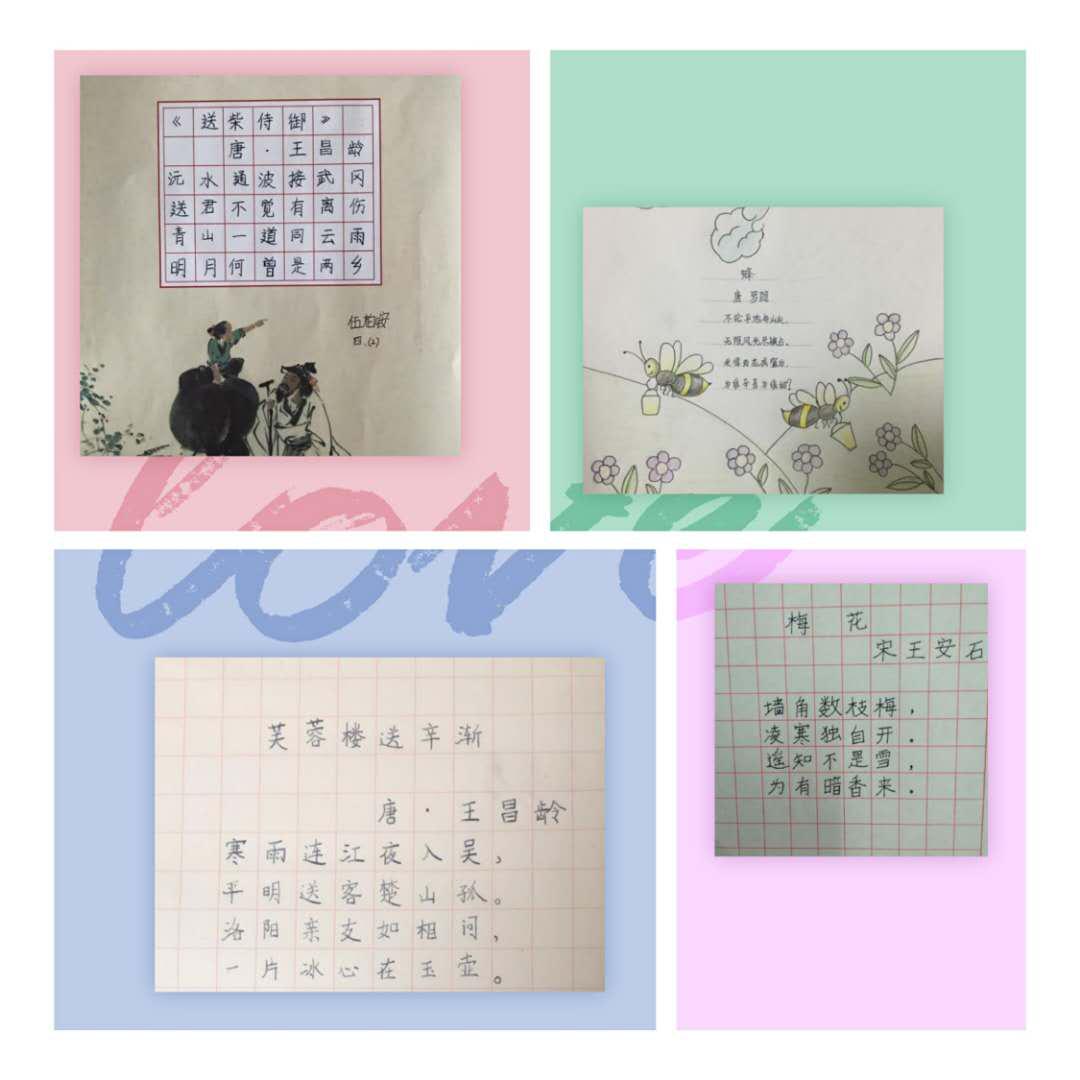 北京市芳城园小学:“项目式学习”战“疫”“延学”变“研学”