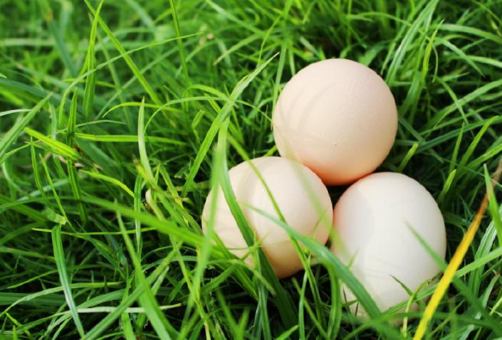 春天的春字怎么写好看,李春天的春天电视剧