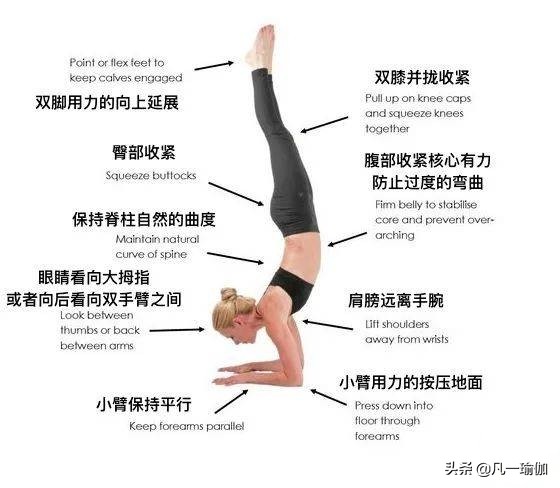 一篇文章两项内容，27张瑜伽细节图加练习注意事项，分享给大家