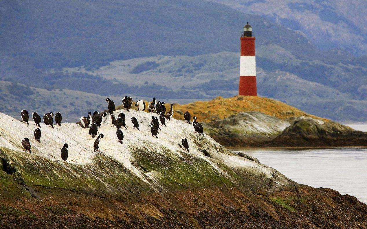 在拉丁美洲南部,浪漫主义以一种相对激进的方式横扫文坛