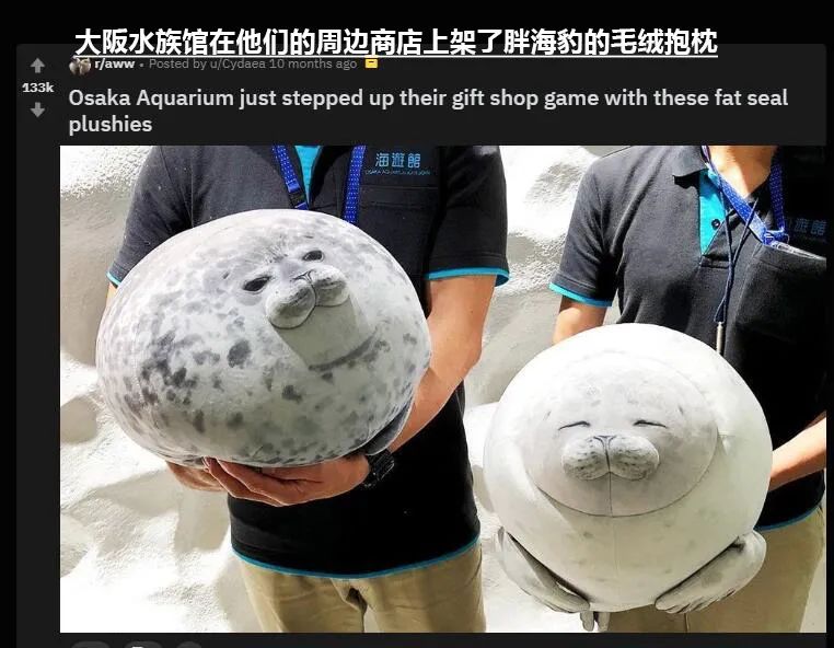 这届年轻人有多清醒,这届年轻人怎么爱上吸熊猫的