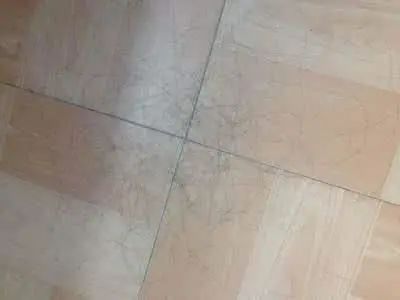 地上的头发怎样才能打扫干净,地板上全是碎头发怎么清理