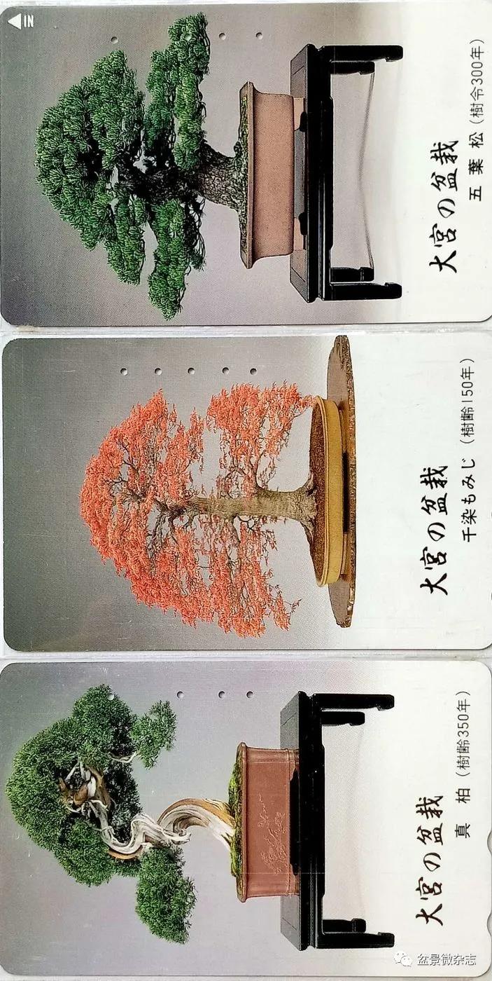 鐩嗘櫙鑱旂郴鐢佃瘽鍙风爜,涓鐩嗘櫙鑱旂郴鏂瑰紡