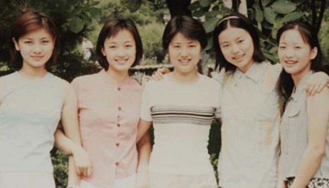 维嘉年轻时的盛世容颜,维嘉真实长相复原