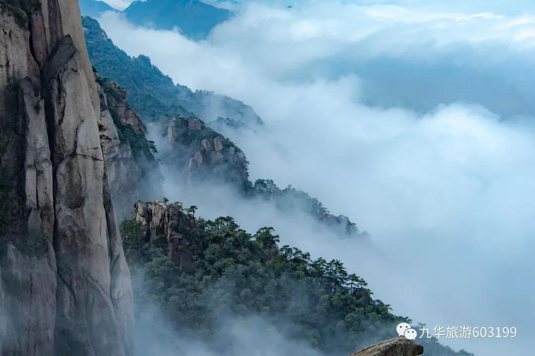 在赞美九华的人里，他们有些不一样