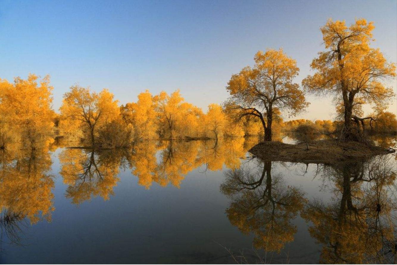 华夏第一州新疆巴州,华夏第一县简介
