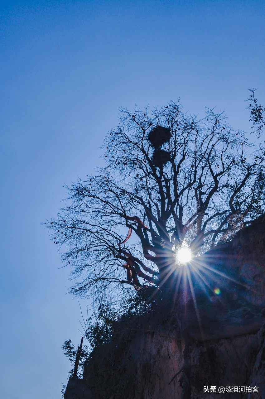 光源拍星芒效果,怎样拍出光芒四射的星芒效果