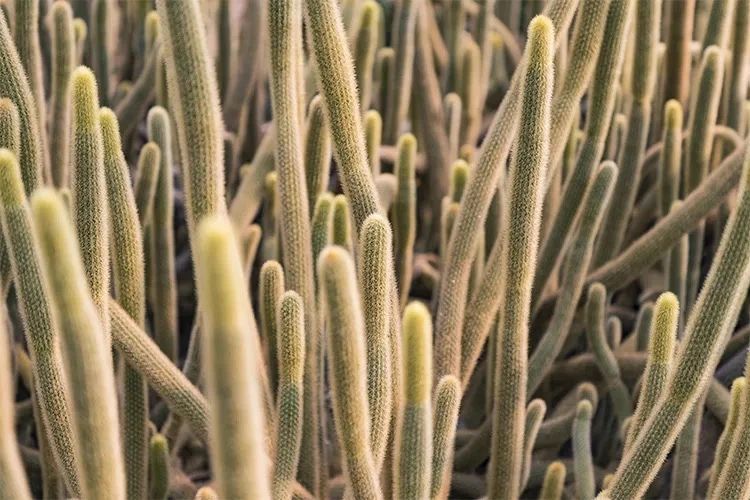 深圳旅游好去处推荐,深圳宝安区周末休闲浪漫好去处