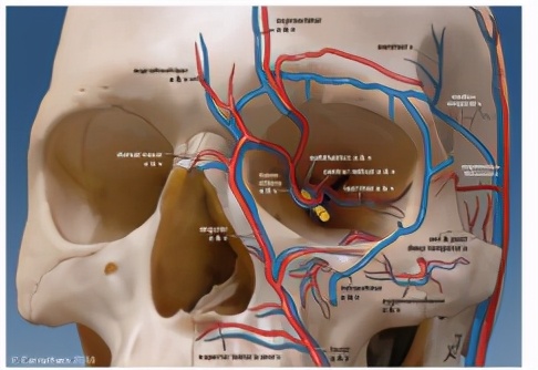 打玻尿酸多久可以移植自体脂肪,打玻尿酸整形有危险吗