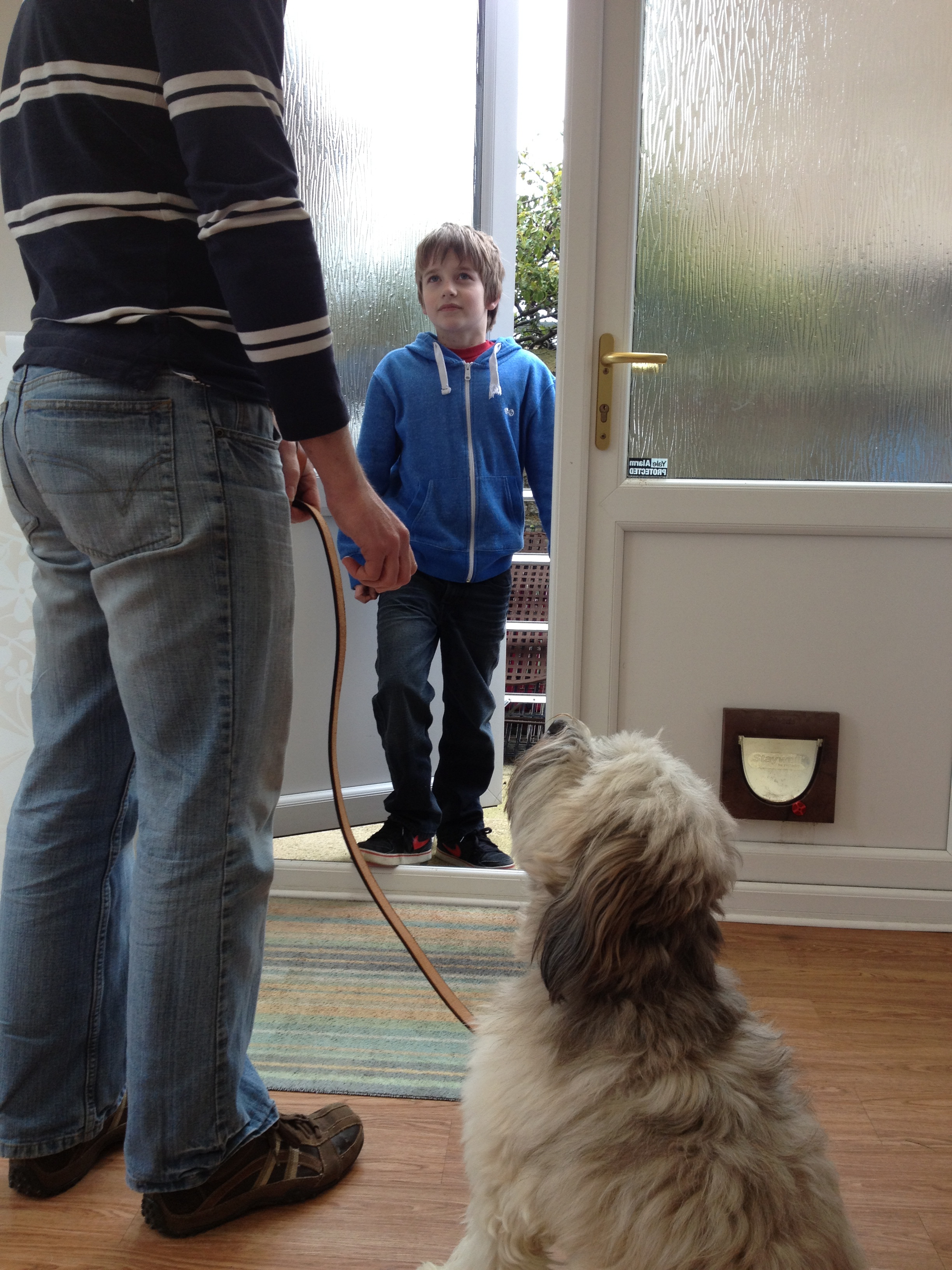 狗狗爱扑人咬手怎么办,狗狗爱扑陌生人