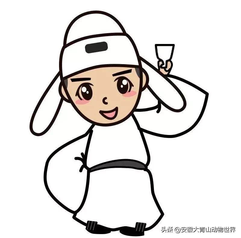 萌萌分不清楚?谁才是真正的神兽“草尼玛”