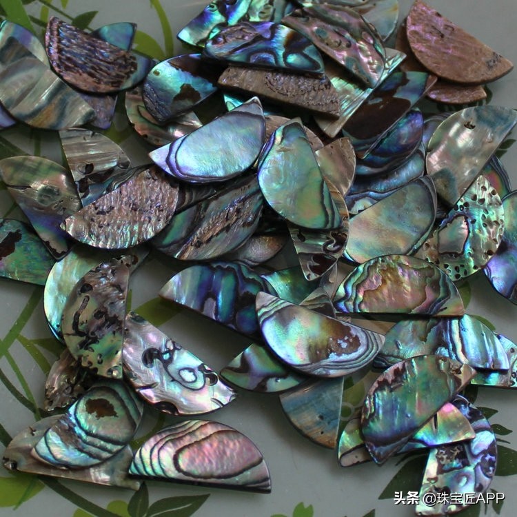 贝壳手工珠宝首饰,贝壳珠宝有哪些