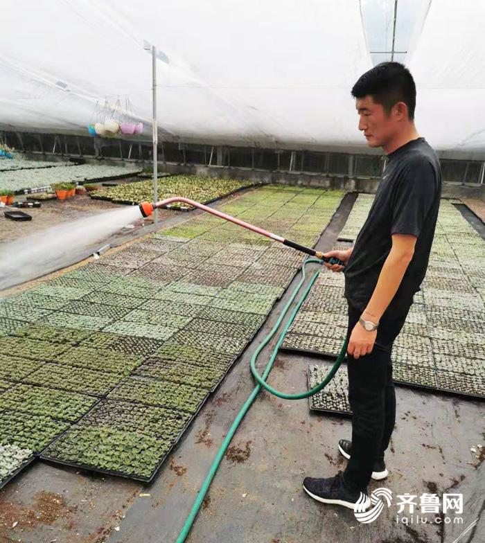 这个小伙田间地头直播卖蔬菜,青州多肉直播销售