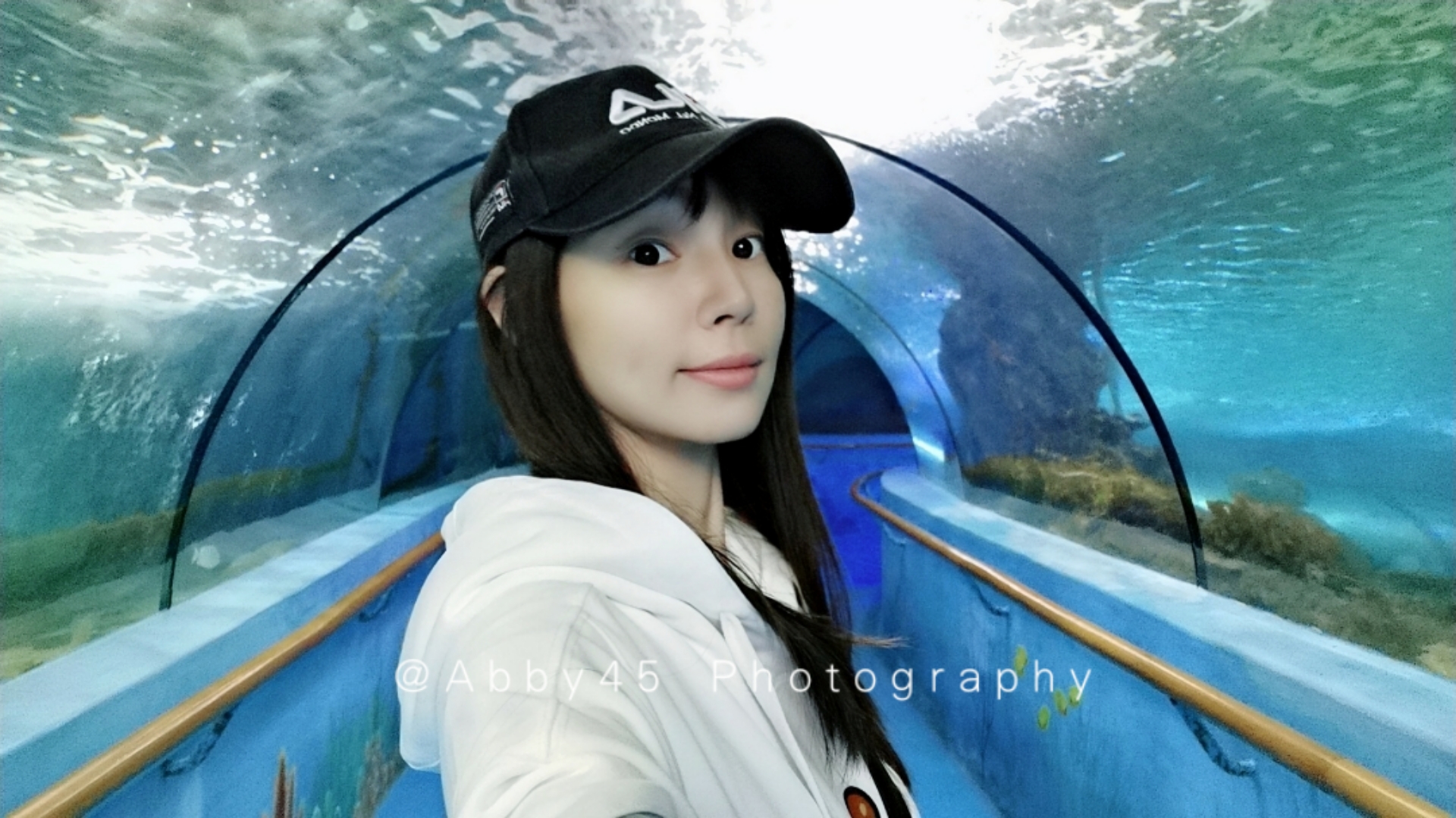 石狮海洋世界和厦门海底世界,泉州石狮海洋世界官方号视频