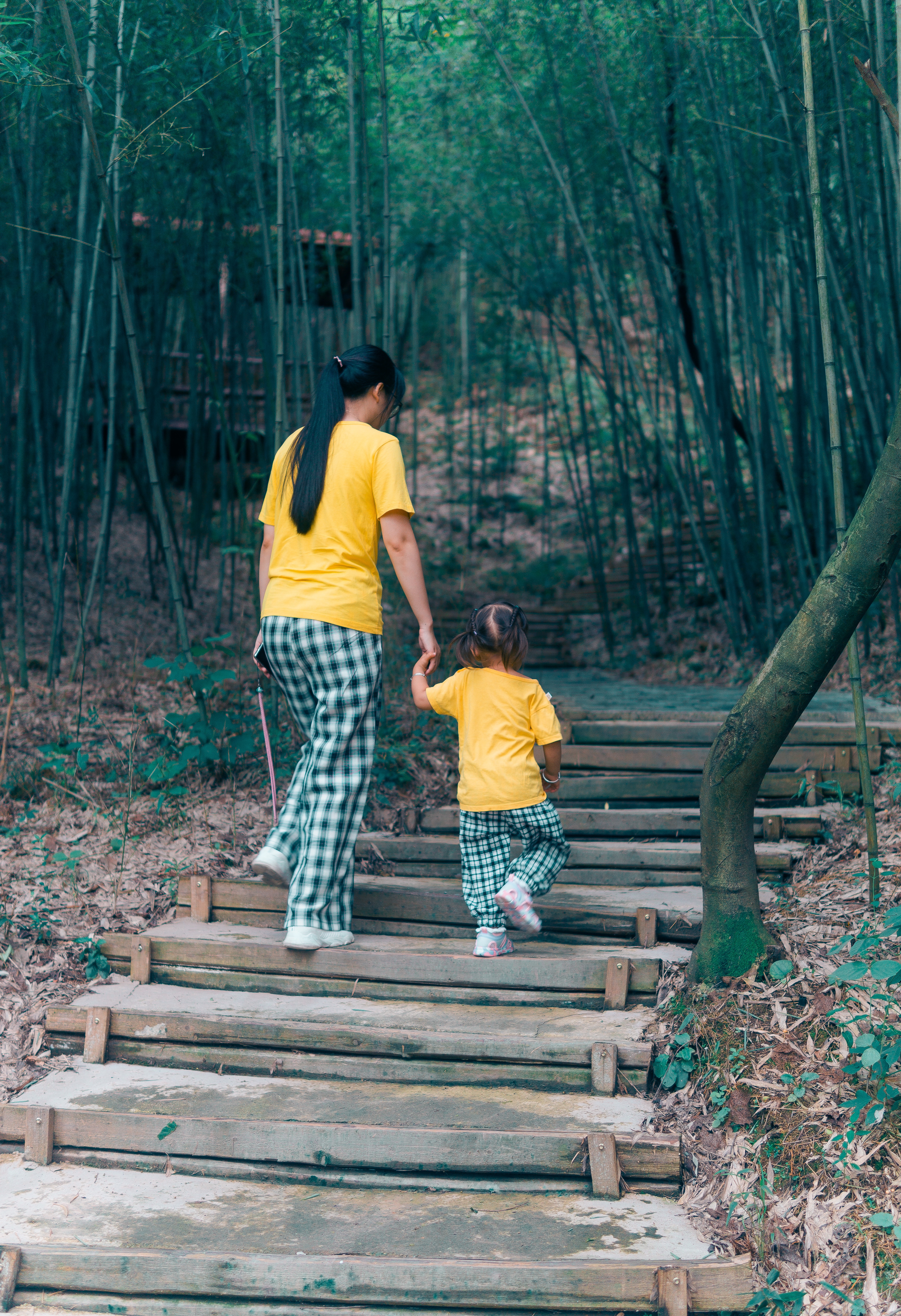 索尼a6000相机使用零基础教程,索尼a6000入门教程视频