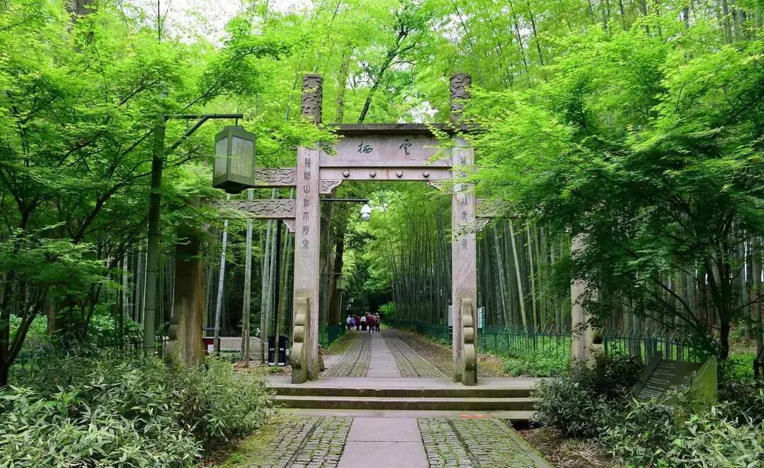 如何挑选西湖龙井茶,杭州西湖龙井茶价格