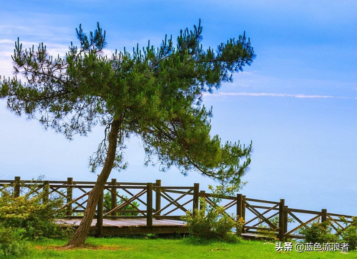 重庆金佛山元旦旅游攻略,重庆区县旅游推荐哪一个区县