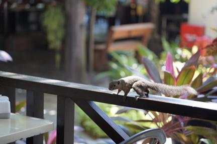 热浪岛浪中岛停泊岛哪个好,热浪岛停泊岛浪中岛