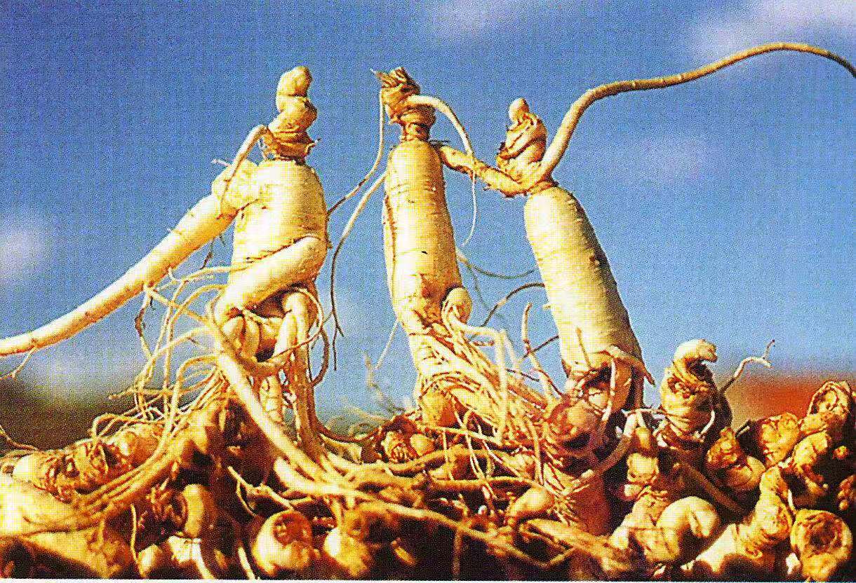 哺乳期哪些食物不能吃辣,哺乳期哪些食物不可以吃会回奶