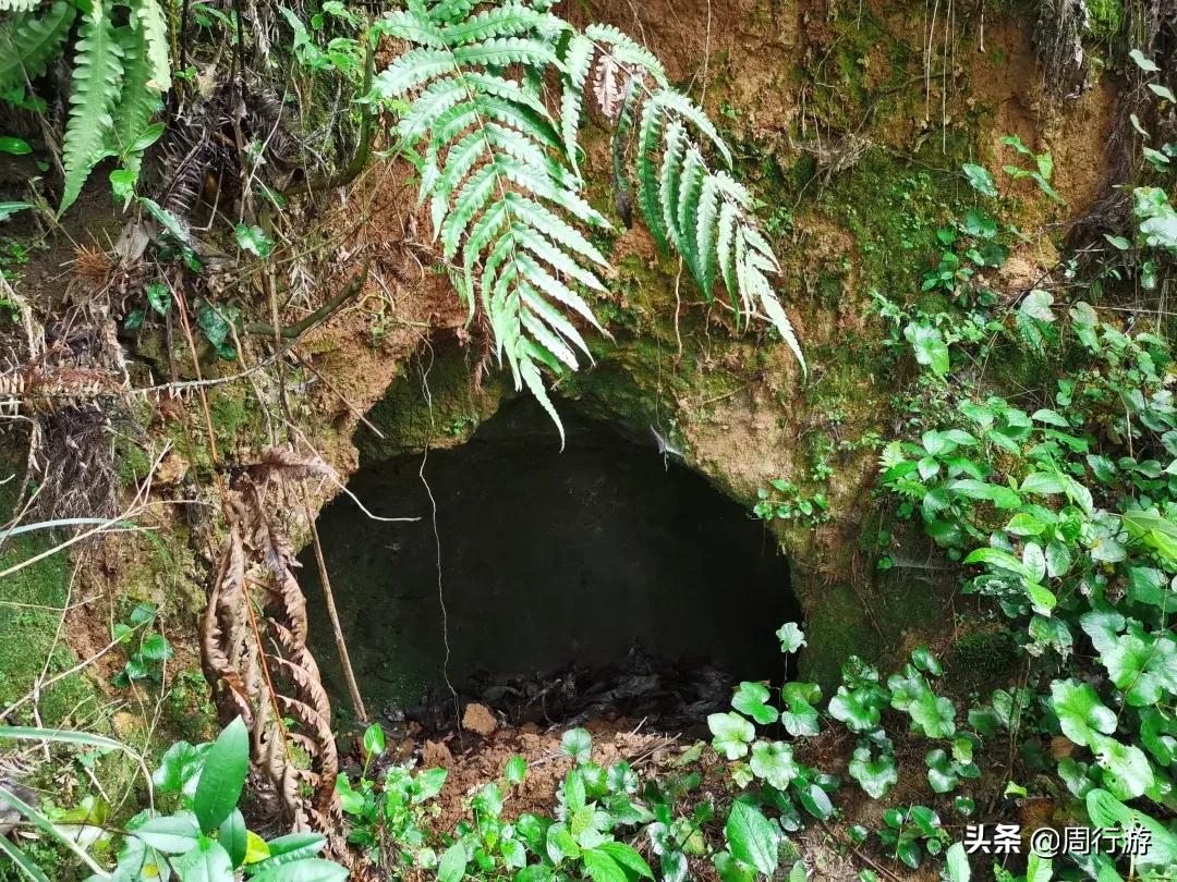 温州文成岭后烂井湖，虽繁华不再，却也有着属于它的传奇故事