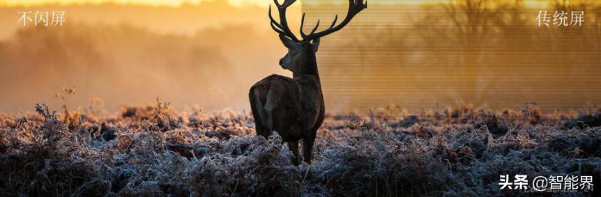 pa248,pa248q显示器