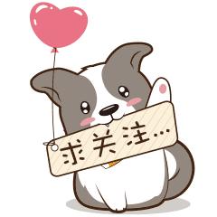 excel如何根据数值大小进行排名,excel成绩排名从第一名到最后一名