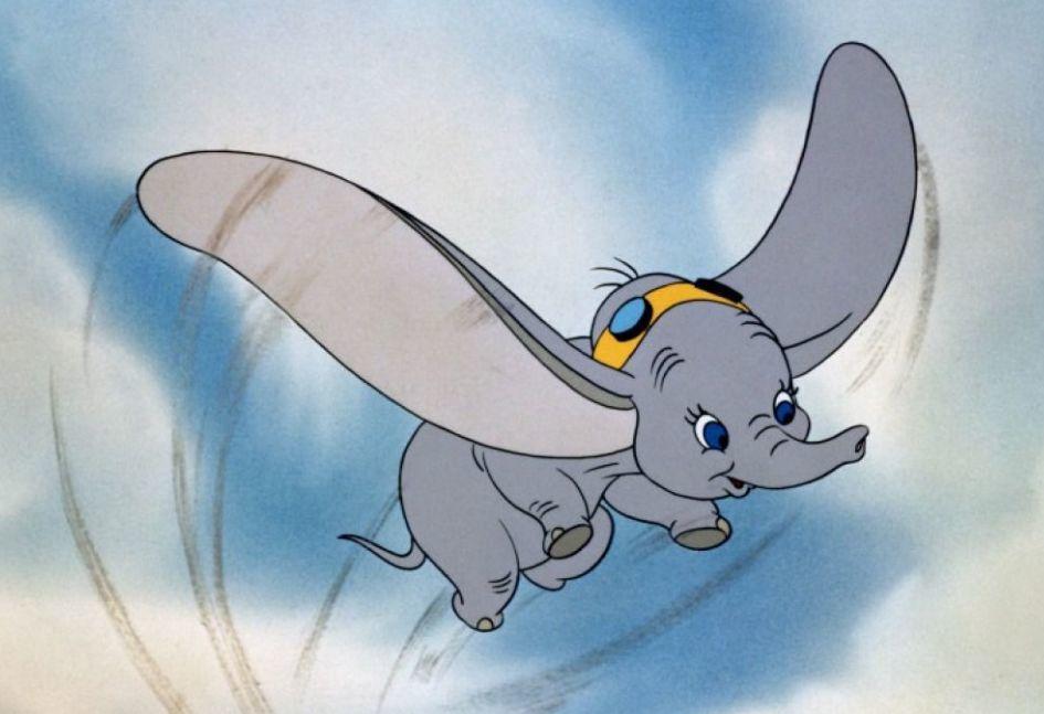 新年第一天给大家看点,新年第一天给大家看视频