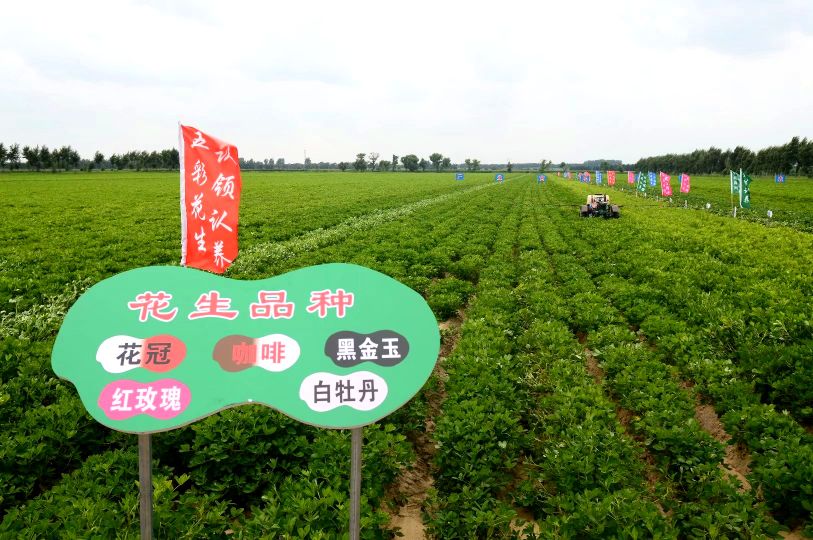 康平周边五一自驾游免费景点攻略,康平县夏季旅游