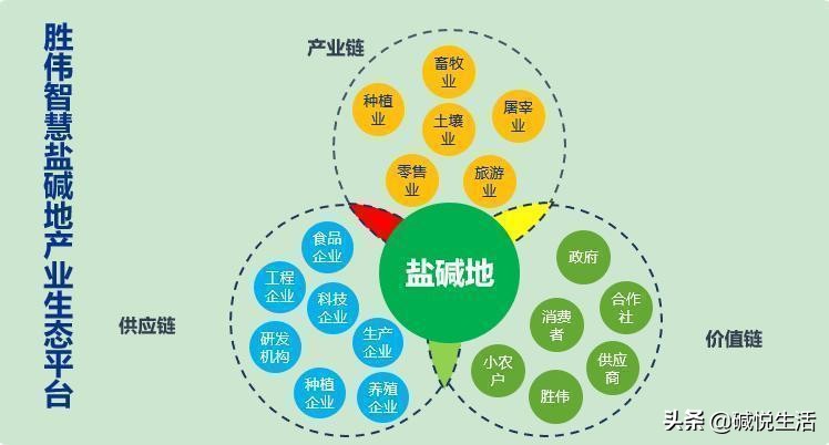 盐碱地养殖经丨养殖奶山羊增效新法
