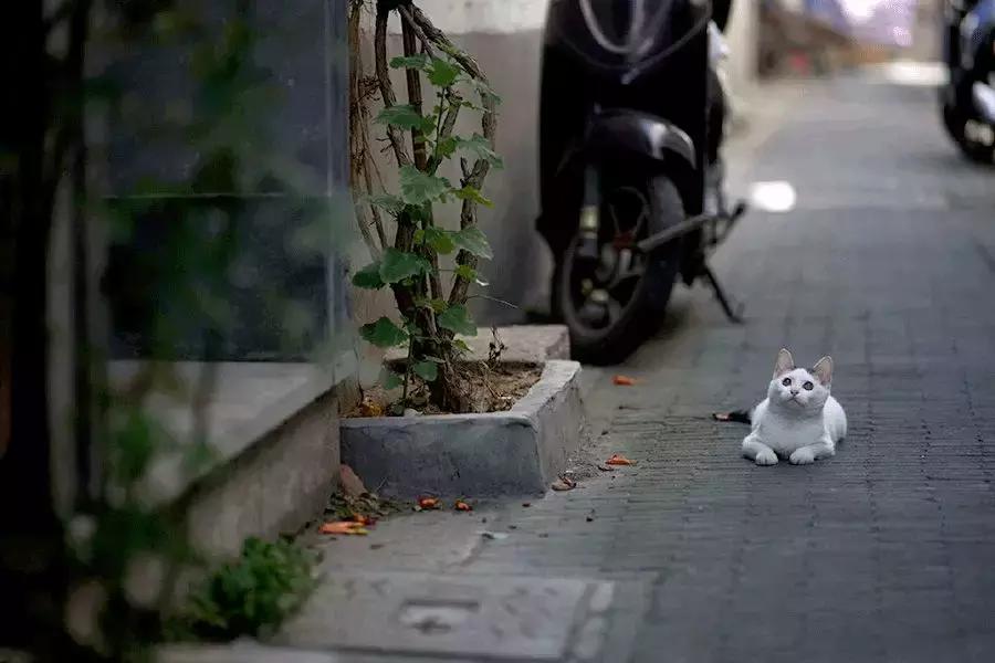 玩是人生最高的境界,玩是一种人生态度