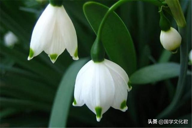 命不好是因为什么,命不好的人经常说什么话