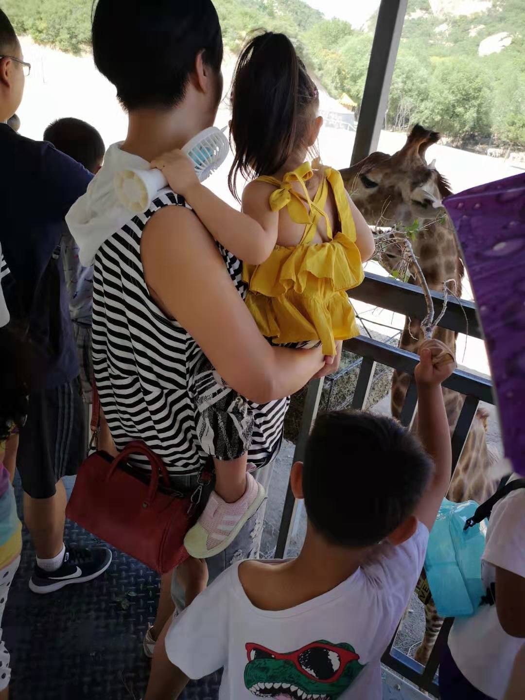 什么牌子的童鞋又便宜又好穿,什么牌子的童鞋平价又好穿