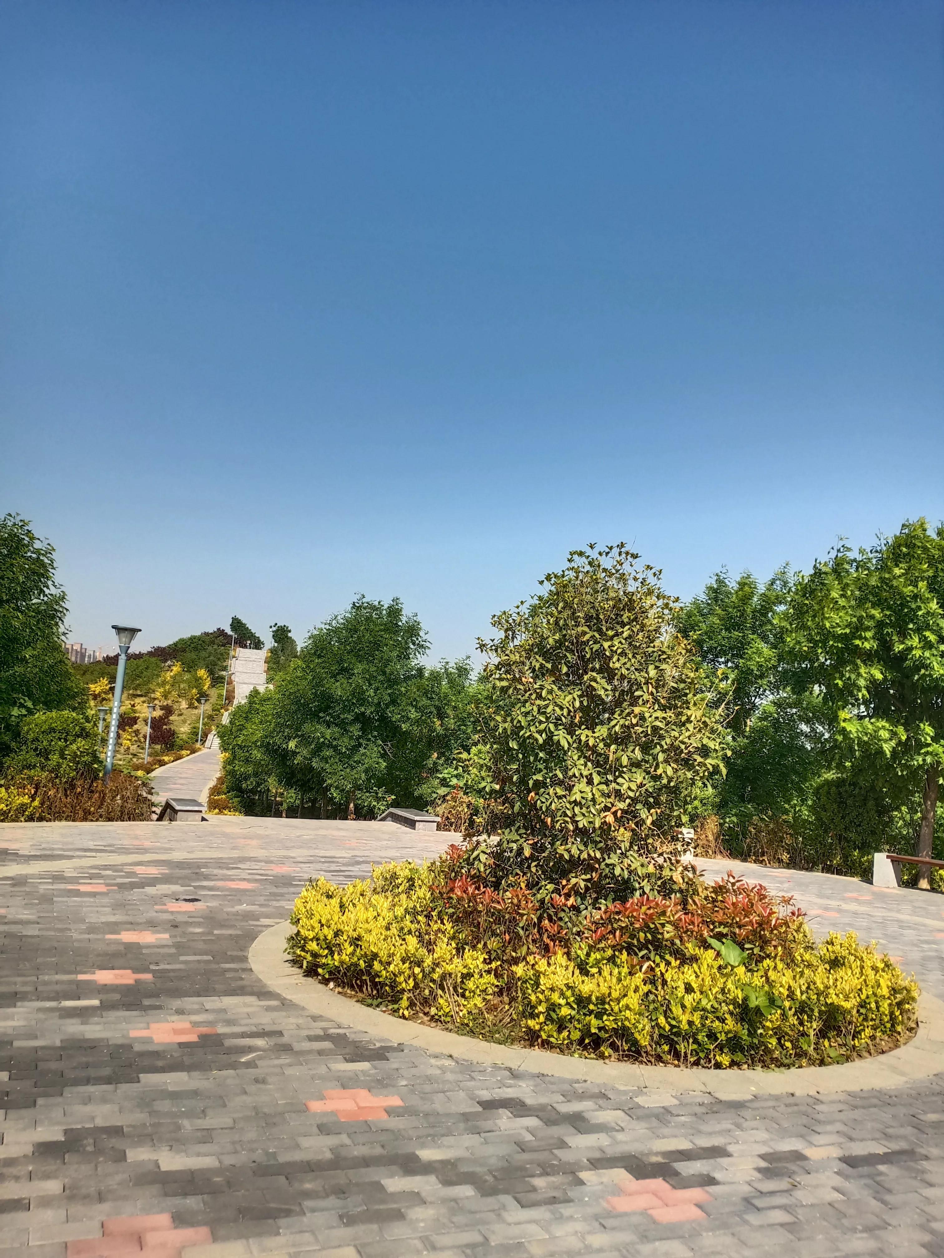 濮阳龙山公园有啥好玩的,濮阳龙山公园在什么地方