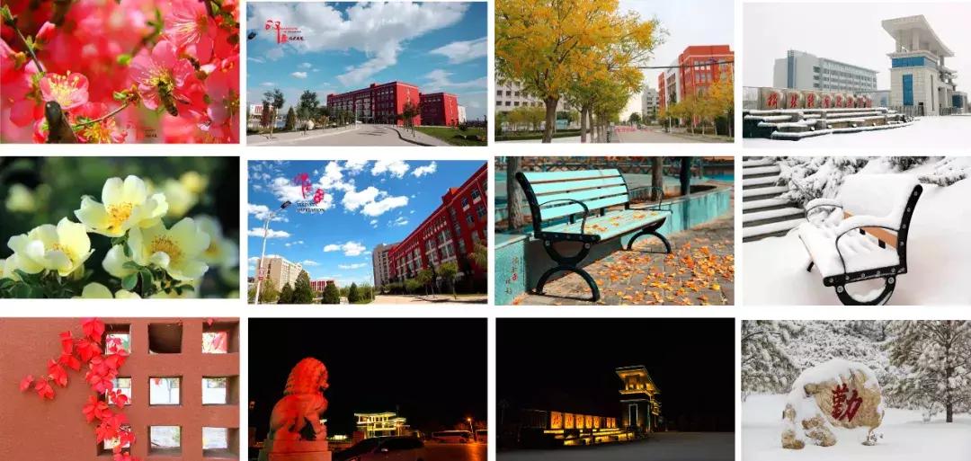 和青春不期而“榆”!榆林职院是你梦想起航的地方!