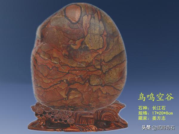 长江石芙蓉石,芙蓉石真实图片