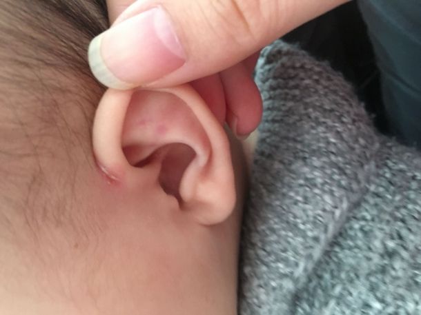 2岁宝宝敏感期要教哪些,1岁之内宝宝的发育注意事项