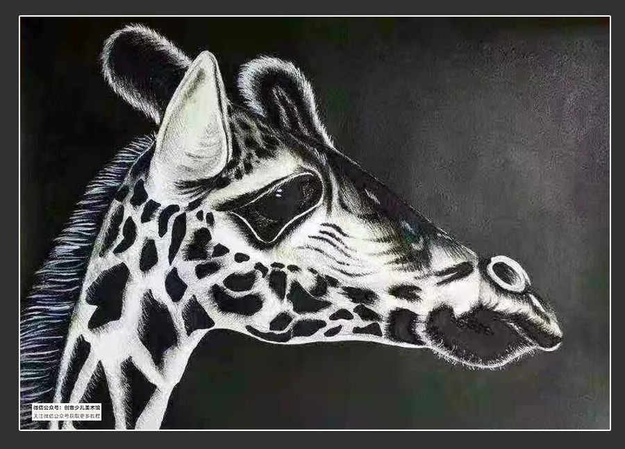 素描绘画素材9-12岁,素描基础绘画教程创意素描