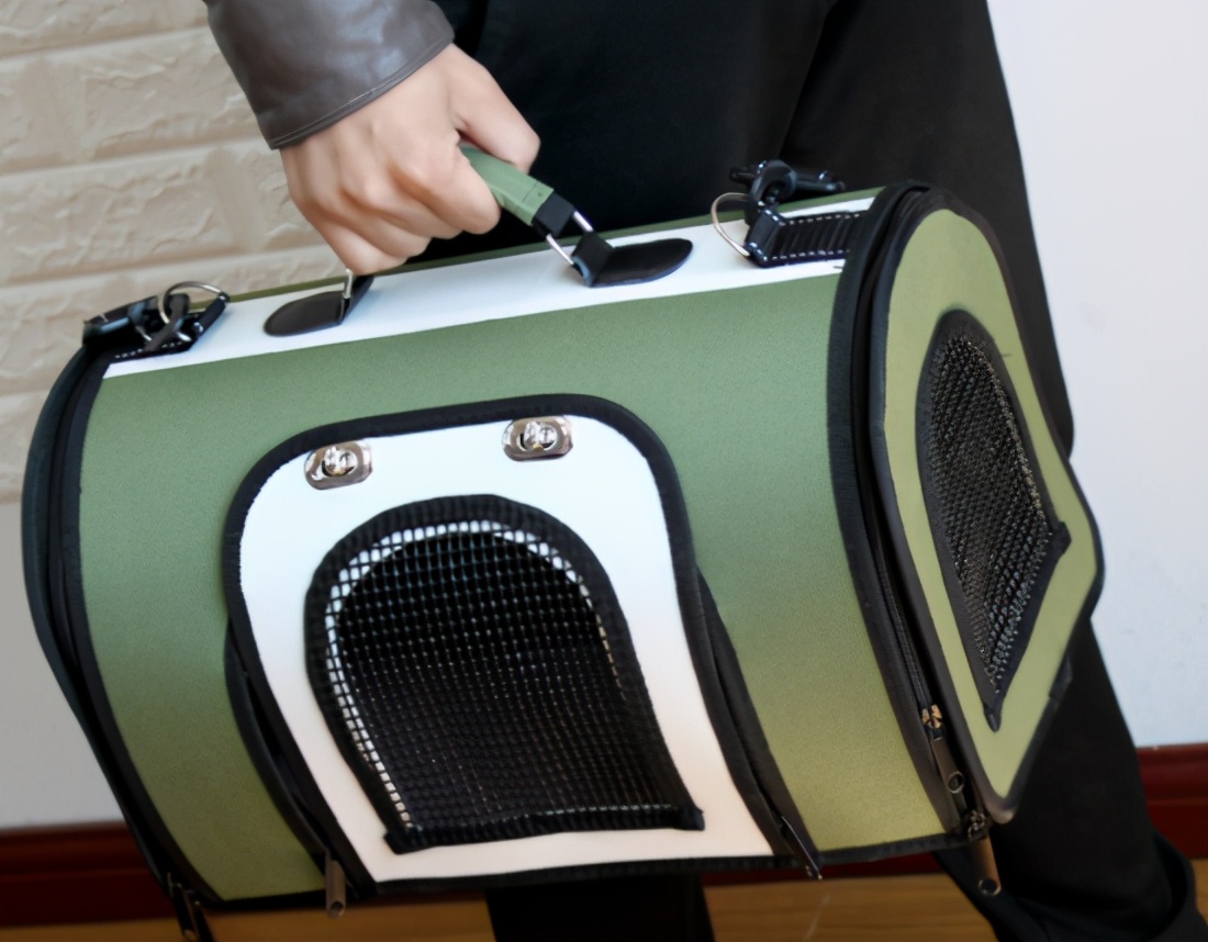 养小猫攻略,养2个月小猫攻略