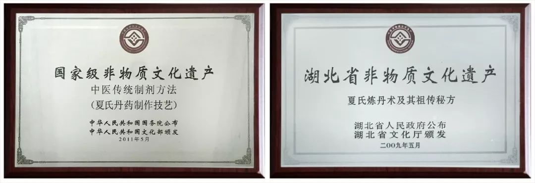 国家级非遗夏氏丹药,国家非遗博览会