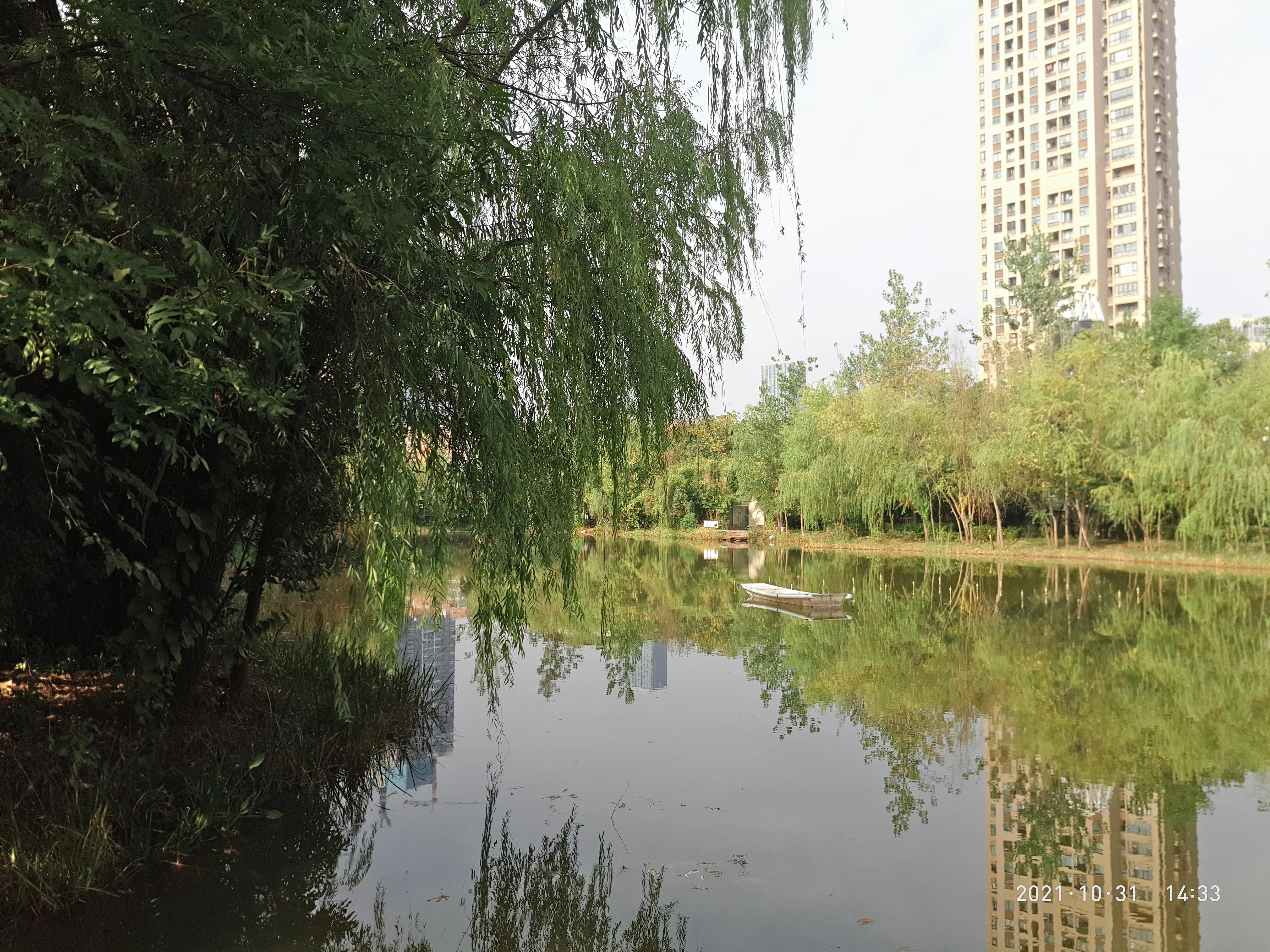 户外长高运动最有效的方法,孩子每天户外运动多久长高