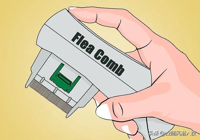 洗洁精能杀死鸡虱子吗,洗洁精可以除掉虱子吗