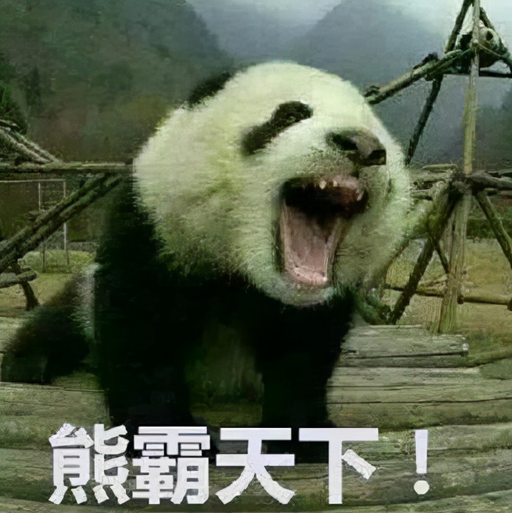 熊猫很凶残能打得过黑熊吗,熊猫逆水寒武器