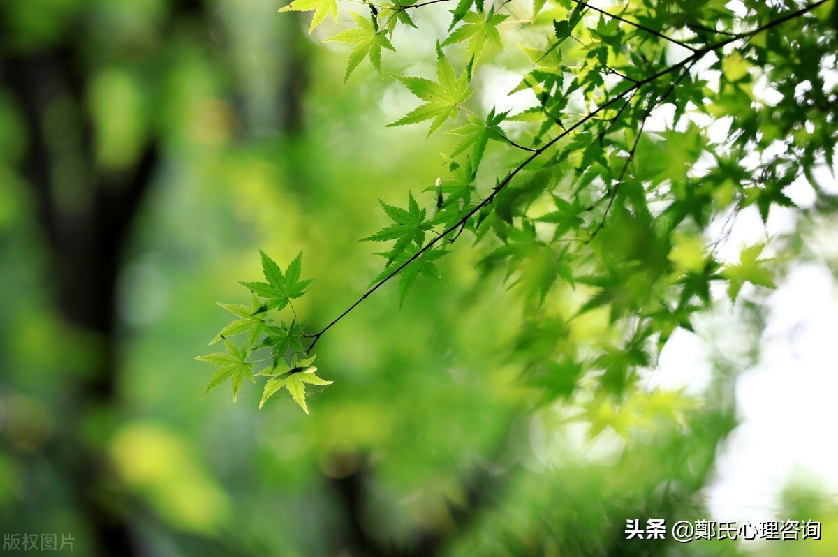 强迫意向心理疗法,强迫意向会失控吗