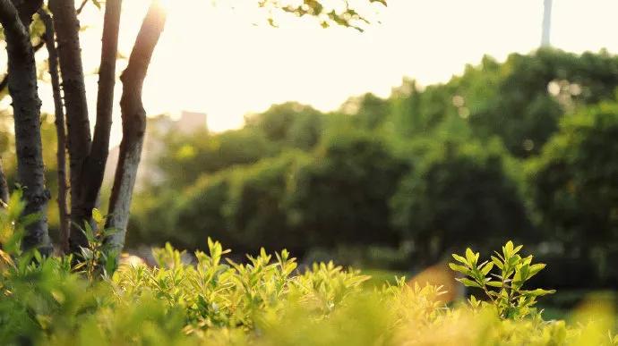 保研夏令营优秀营员就稳了吗,保研夏令营上岸