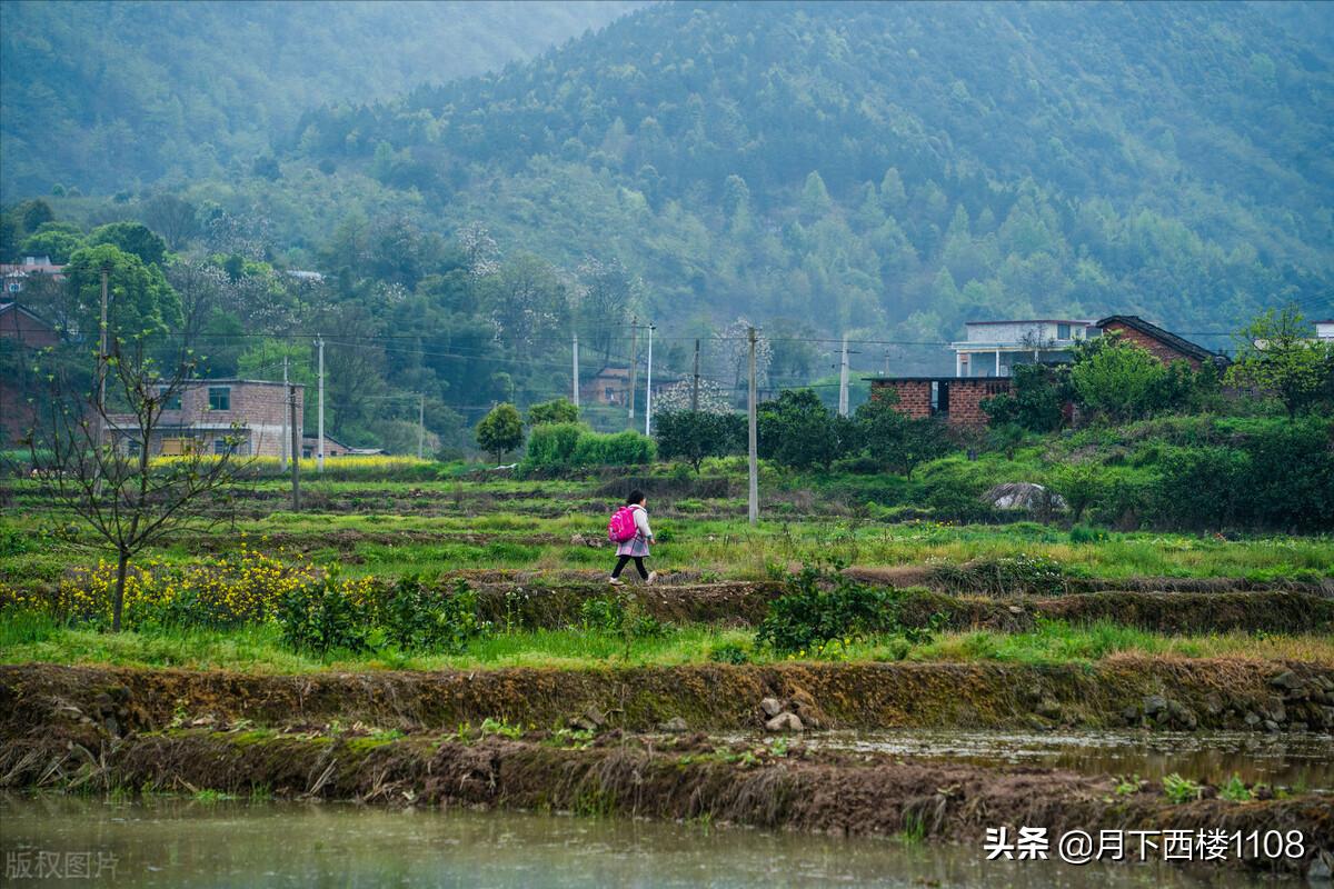 祁阳和常宁哪个潜力大,常宁市和祁阳市